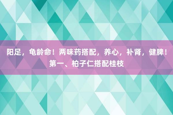 阳足，龟龄命！两味药搭配，养心，补肾，健脾！第一、柏子仁搭配桂枝
