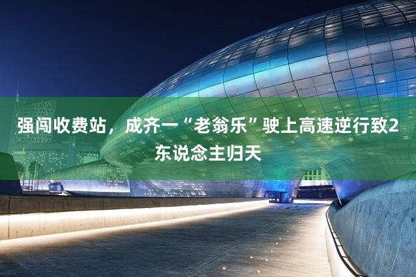 强闯收费站，成齐一“老翁乐”驶上高速逆行致2东说念主归天