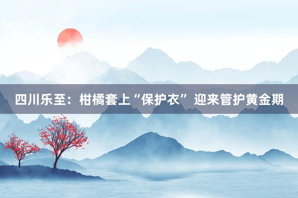 四川乐至：柑橘套上“保护衣” 迎来管护黄金期