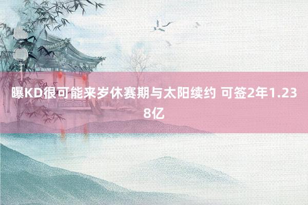 曝KD很可能来岁休赛期与太阳续约 可签2年1.238亿