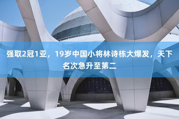 强取2冠1亚，19岁中国小将林诗栋大爆发，天下名次急升至第二