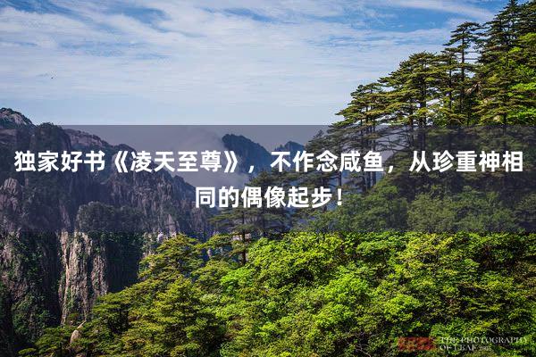 独家好书《凌天至尊》，不作念咸鱼，从珍重神相同的偶像起步！