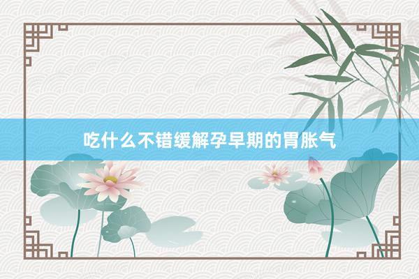 吃什么不错缓解孕早期的胃胀气