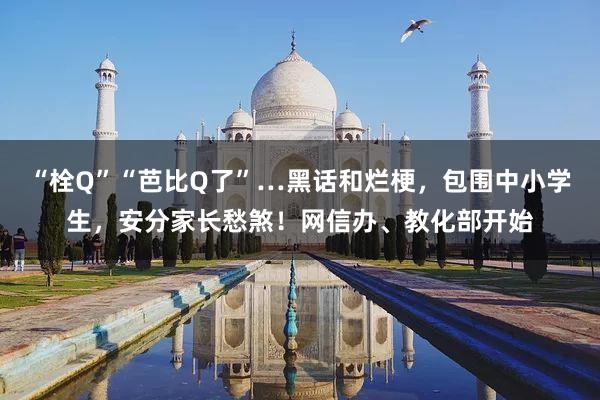 “栓Q”“芭比Q了”…黑话和烂梗，包围中小学生，安分家长愁煞！网信办、教化部开始