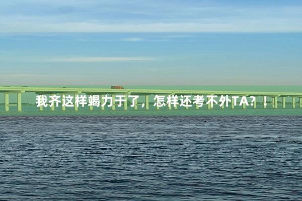 我齐这样竭力于了，怎样还考不外TA？！