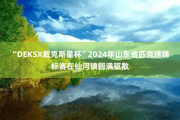“DEKSX戴克斯星杯”2024年山东省匹克球锦标赛在仙河镇圆满驱散