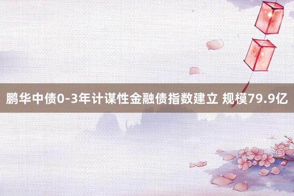 鹏华中债0-3年计谋性金融债指数建立 规模79.9亿