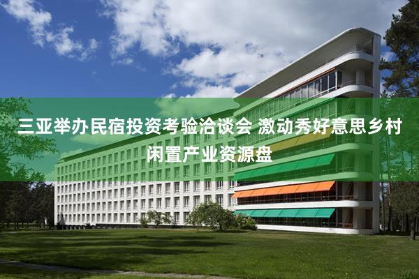 三亚举办民宿投资考验洽谈会 激动秀好意思乡村闲置产业资源盘