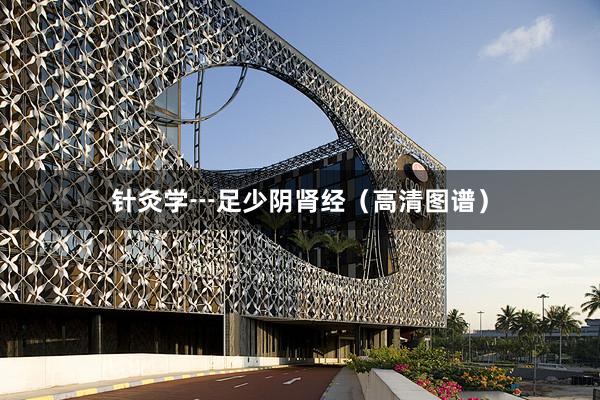 针灸学┅足少阴肾经（高清图谱）