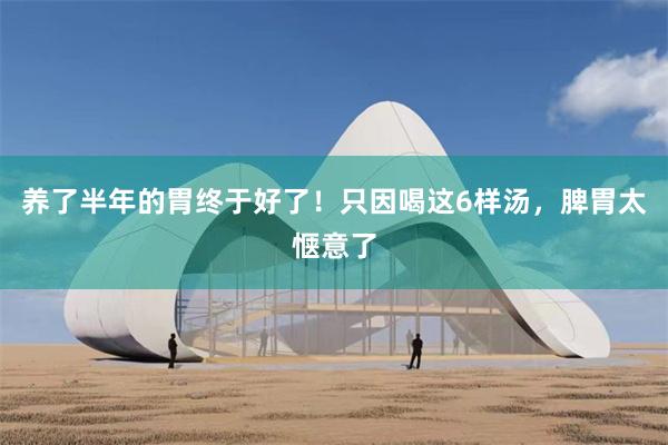 养了半年的胃终于好了！只因喝这6样汤，脾胃太惬意了
