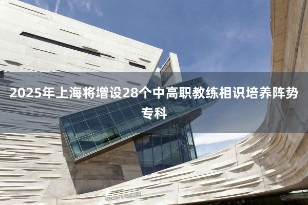 2025年上海将增设28个中高职教练相识培养阵势专科