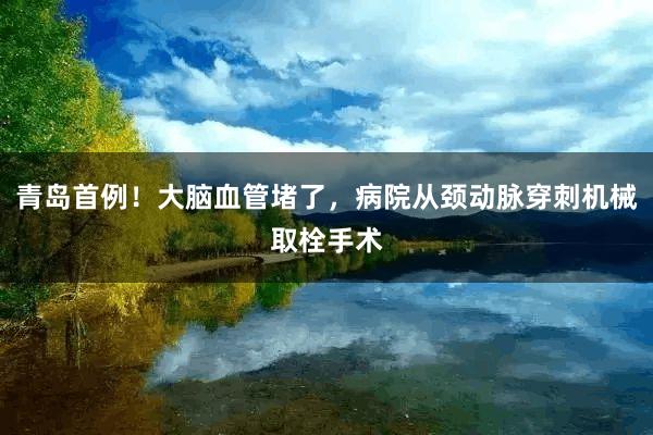 青岛首例！大脑血管堵了，病院从颈动脉穿刺机械取栓手术