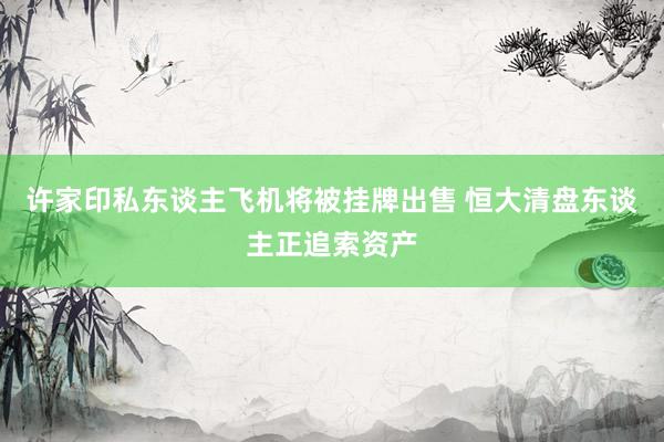 许家印私东谈主飞机将被挂牌出售 恒大清盘东谈主正追索资产